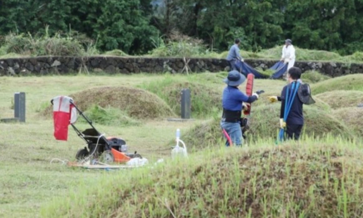 정성스러운 벌초 서비스